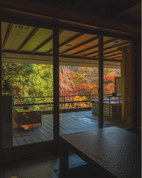 【体験レポ】美術館なのに走り回れる！？箱根で子連れ旅するなら絶対ココ | HugMug