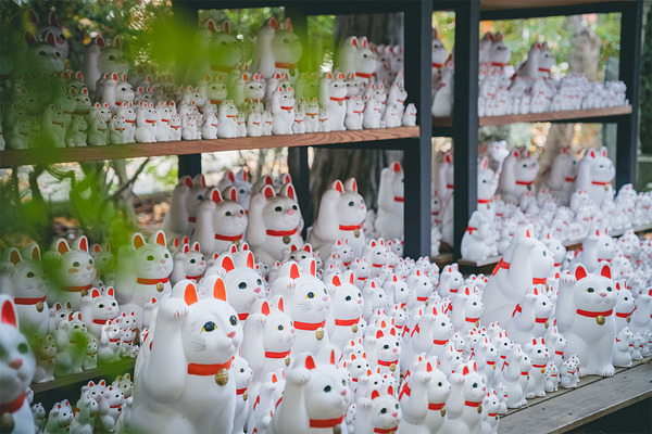 新発見がいっぱい！親子で行く電車さんぽ【東急世田谷線】 | HugMug