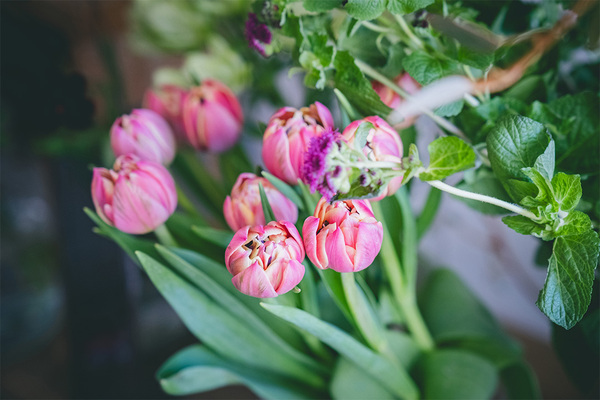 新発見がいっぱい！親子で行く電車さんぽ【東急世田谷線】 | HugMug