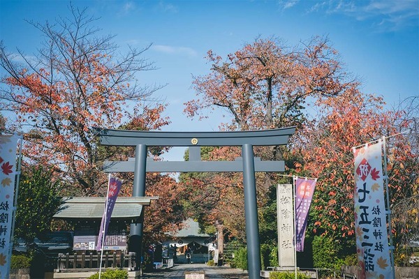 新発見がいっぱい！親子で行く電車さんぽ【東急世田谷線】 | HugMug