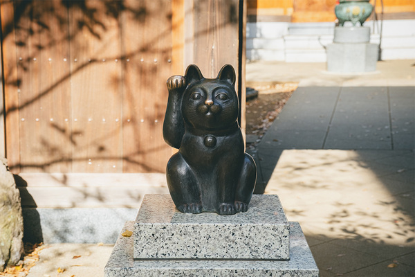 新発見がいっぱい！親子で行く電車さんぽ【東急世田谷線】 | HugMug