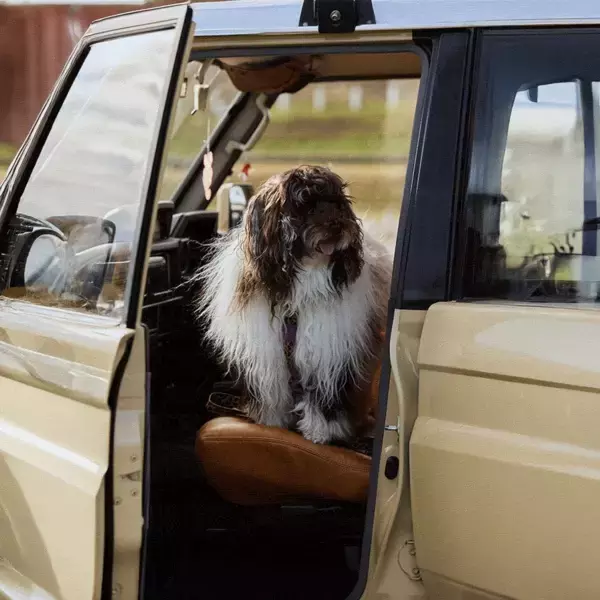 購入先や乗り心地は？ヴィンテージ好き家族のファミリーカーSNAP。 | HugMug