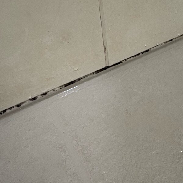 諦めてたお風呂のカビが消えた！？塗って15分放置の「カビホワイト」がすごい | HugMug