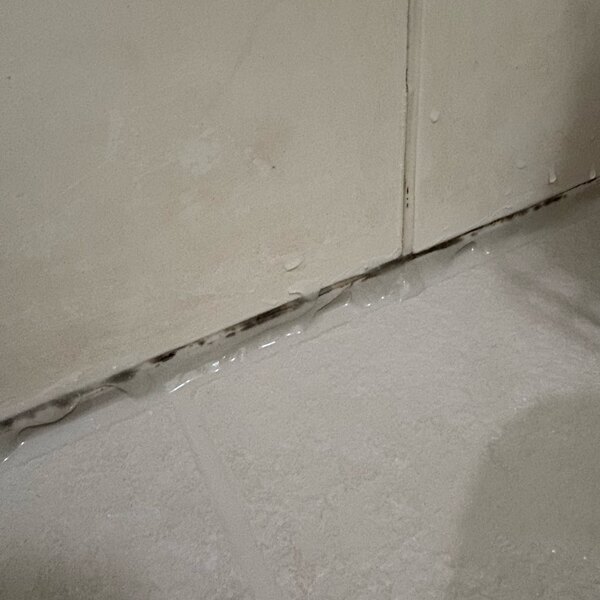 諦めてたお風呂のカビが消えた！？塗って15分放置の「カビホワイト」がすごい | HugMug