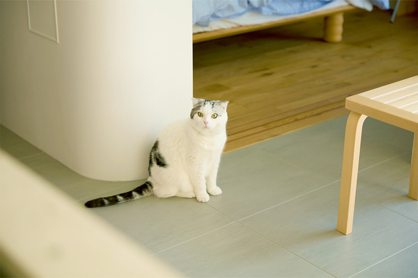 センスのいい家族が暮らす家【vol.22.余白を残す家・小山翔平さん、紬さん邸】 | HugMug