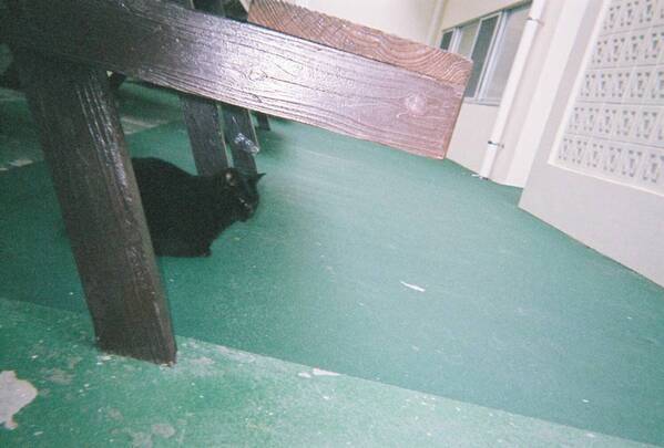 平成レトロで再ブーム！子連れ旅行に「写ルンです」がおすすめな理由 | HugMug