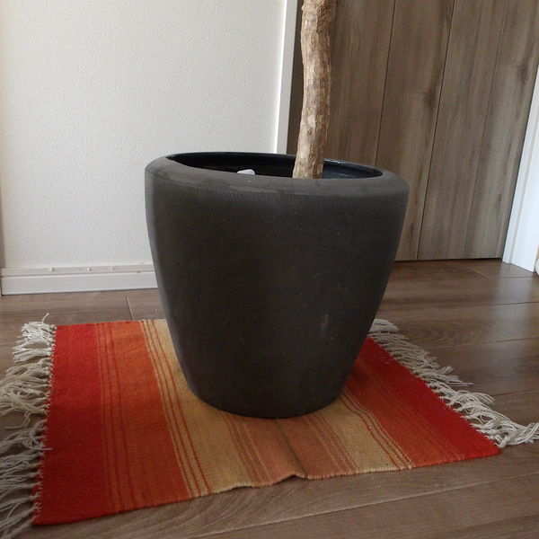 部屋が一気に垢抜ける！柄が可愛い【 ラグ・ブランケット】おすすめ6選 | HugMug