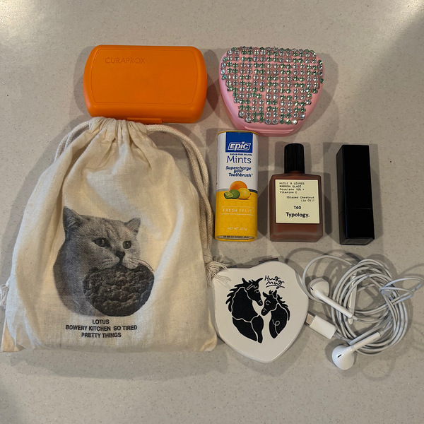 個人輸入してでも欲しい！ 【baggu】づくしのバッグの中身紹介 | HugMug