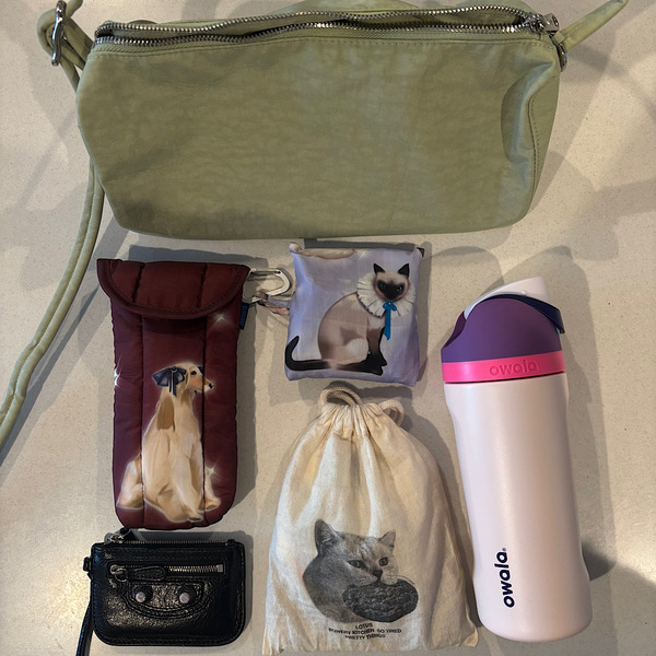 個人輸入してでも欲しい！ 【baggu】づくしのバッグの中身紹介 | HugMug