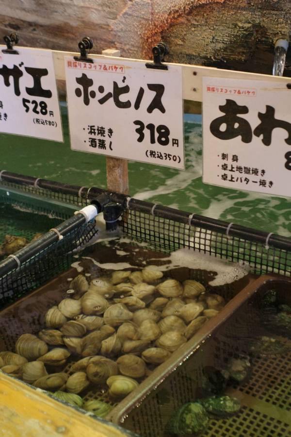 釣った魚がその場で食べられる！体験型レストラン「釣船茶屋ざうお」が子連れに最高！ | HugMug