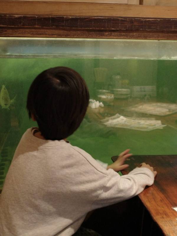 釣った魚がその場で食べられる！体験型レストラン「釣船茶屋ざうお」が子連れに最高！ | HugMug