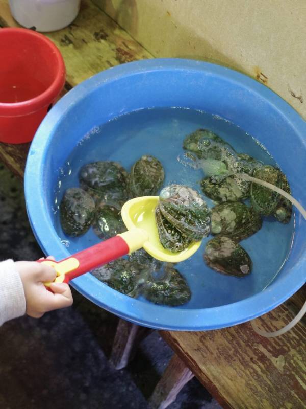 釣った魚がその場で食べられる！体験型レストラン「釣船茶屋ざうお」が子連れに最高！ | HugMug