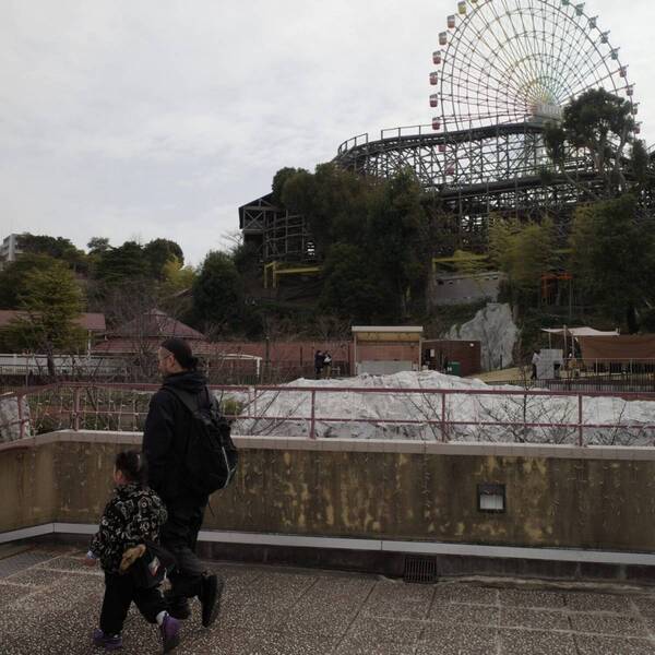 【大阪】子連れで行く 「ひらかたパーク」が最高だった！ 4歳が大はしゃぎのアクアリウム＆乗りものレポ | HugMug