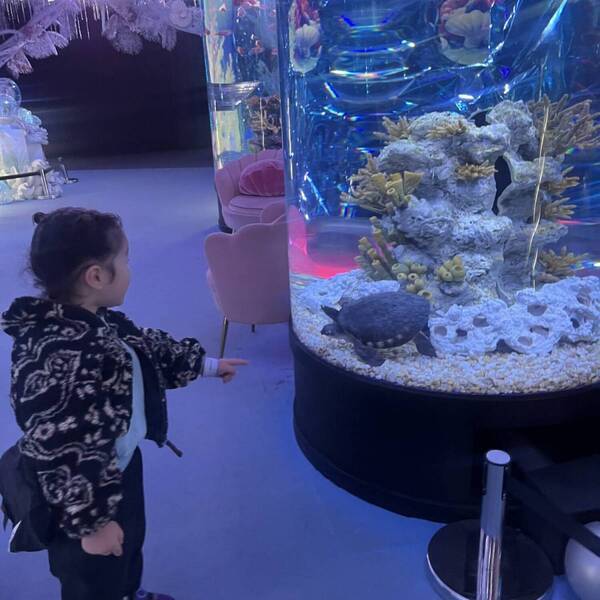 【大阪】子連れで行く 「ひらかたパーク」が最高だった！ 4歳が大はしゃぎのアクアリウム＆乗りものレポ | HugMug
