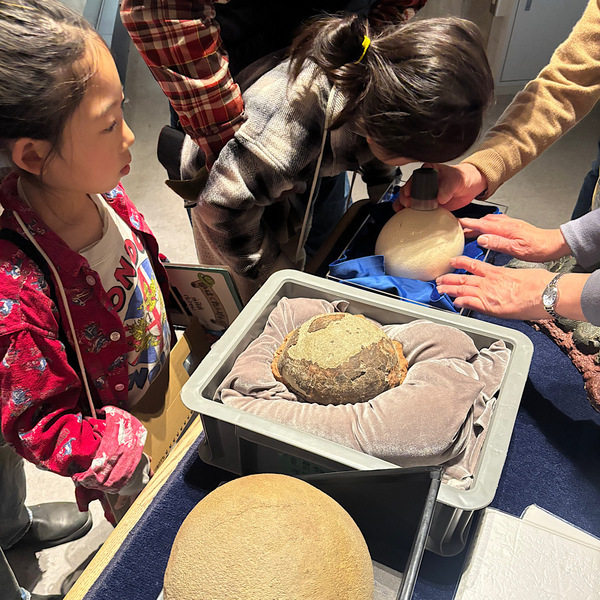 恐竜好きキッズ必見！【国立科学博物館】探検プログラム「かはくたんけん隊」体験レポ | HugMug