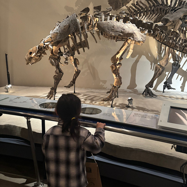 恐竜好きキッズ必見！【国立科学博物館】探検プログラム「かはくたんけん隊」体験レポ | HugMug