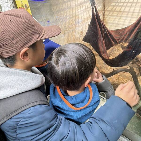 韓国旅行気分を国内で体験！【子連れ新大久保】おすすめスポット＆食べ歩きグルメまとめ | HugMug