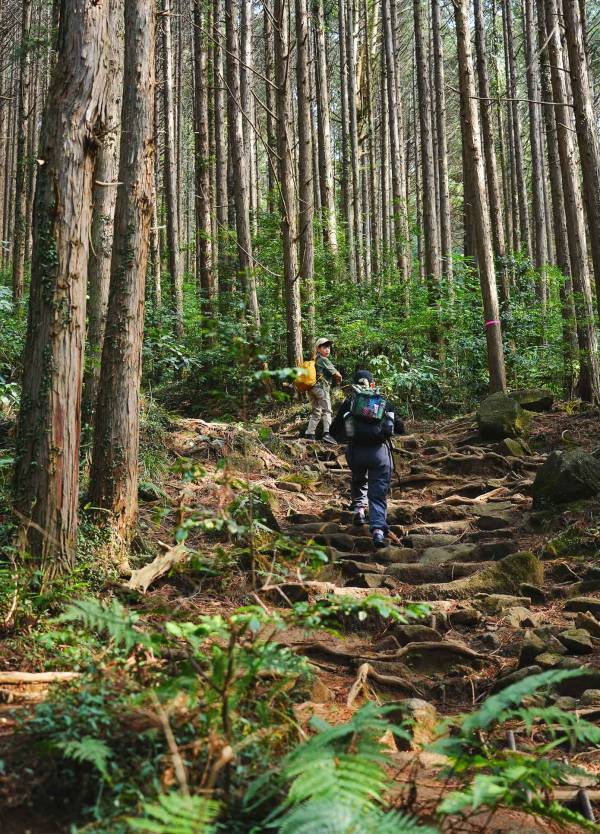 熊が出ない、トイレも完備！ 子連れ登山におすすめの筑波山をレポート | HugMug