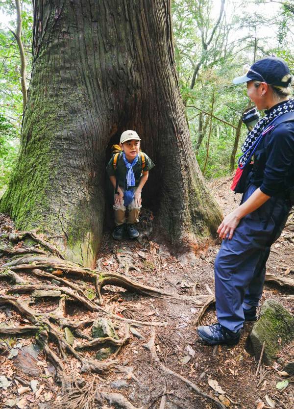 熊が出ない、トイレも完備！ 子連れ登山におすすめの筑波山をレポート | HugMug