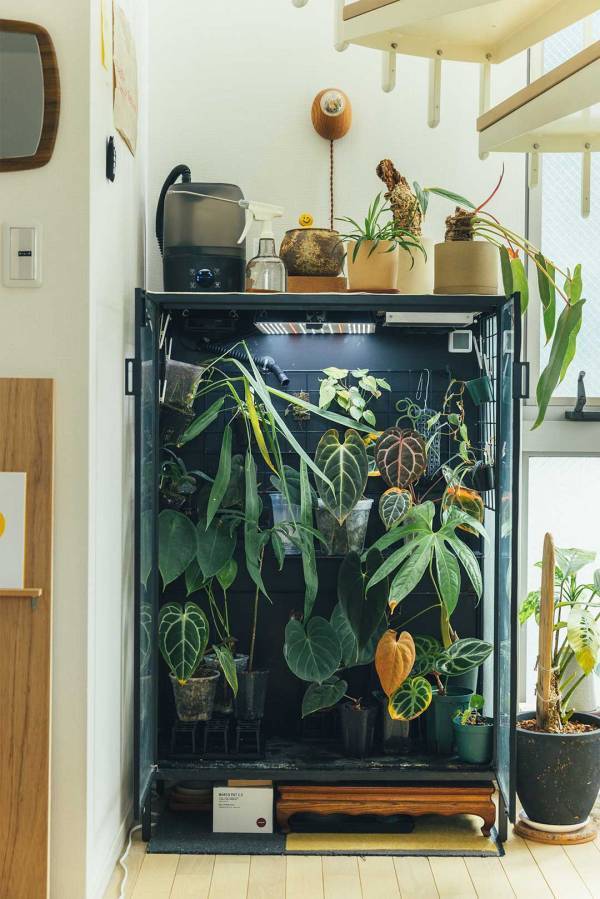 センスのいい家族が暮らす家【Vol.24 デコって、飾って、カラフルに暮らす家・マエダナツミさん邸】 | HugMug