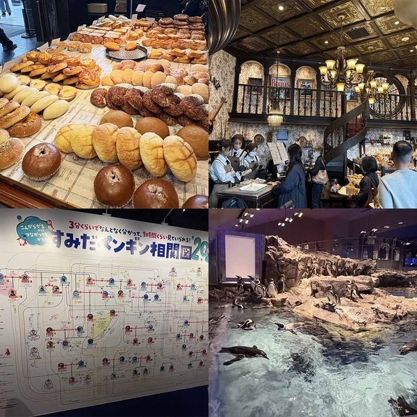 東京ソラマチでの1日の過ごし方！子連れランチから水族館までオススメをご紹介 | HugMug