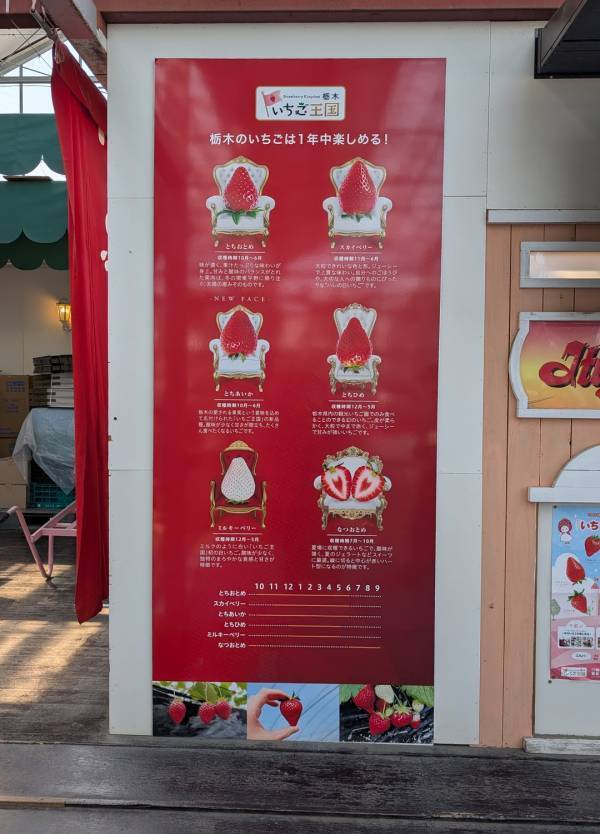 子連れいちご狩りは「いちごの里」が最強！食べ比べやカフェ、遊び場など1日満喫レポ | HugMug