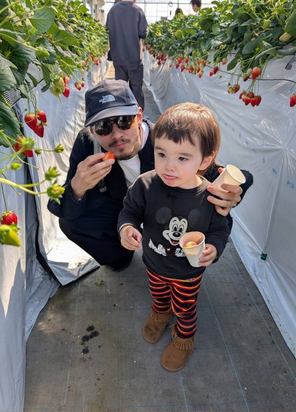子連れいちご狩りは「いちごの里」が最強！食べ比べやカフェ、遊び場など1日満喫レポ | HugMug