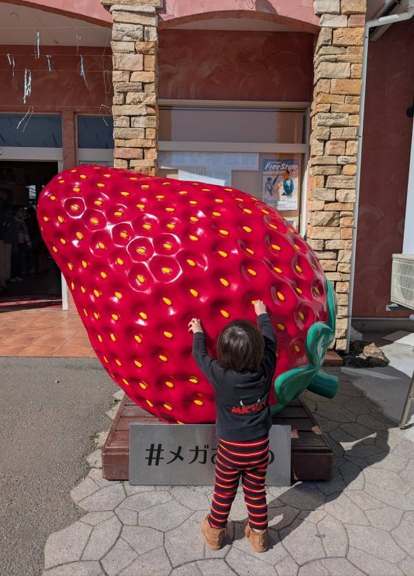子連れいちご狩りは「いちごの里」が最強！食べ比べやカフェ、遊び場など1日満喫レポ | HugMug