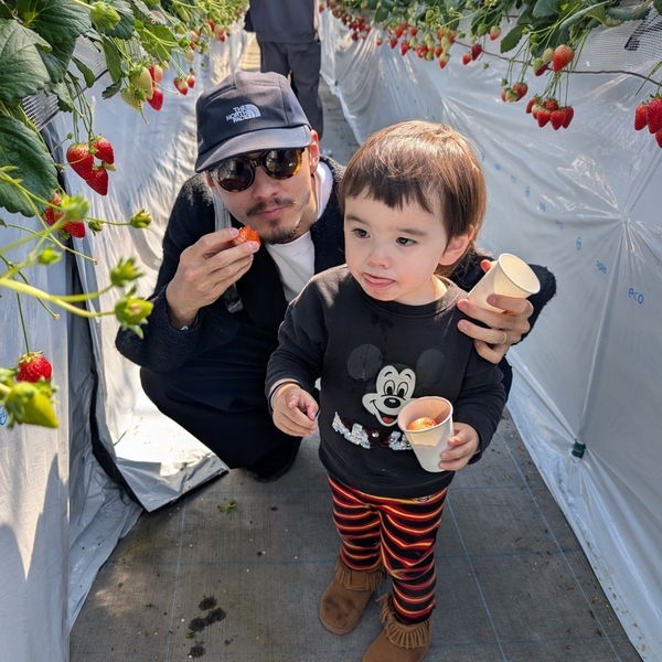 子連れいちご狩りは「いちごの里」が最強！食べ比べやカフェ、遊び場など1日満喫レポ | HugMug