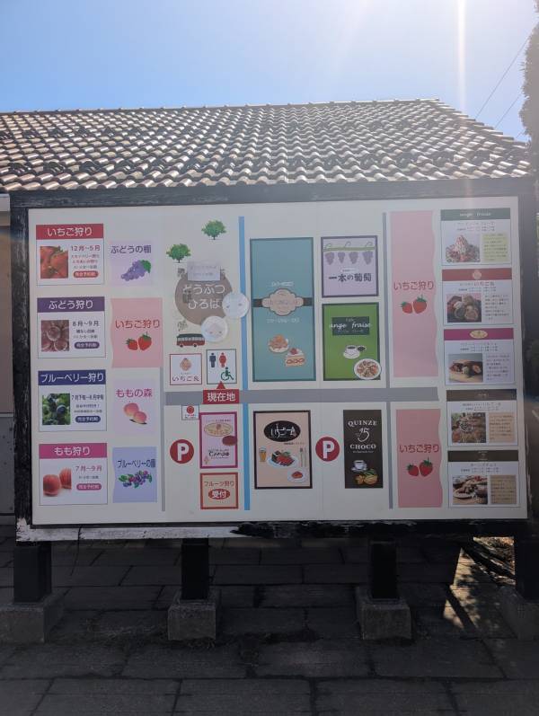 子連れいちご狩りは「いちごの里」が最強！食べ比べやカフェ、遊び場など1日満喫レポ | HugMug