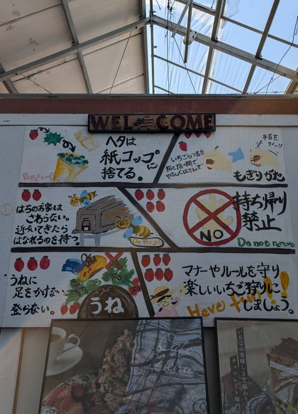子連れいちご狩りは「いちごの里」が最強！食べ比べやカフェ、遊び場など1日満喫レポ | HugMug