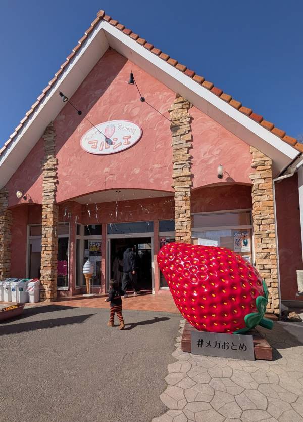 子連れいちご狩りは「いちごの里」が最強！食べ比べやカフェ、遊び場など1日満喫レポ | HugMug