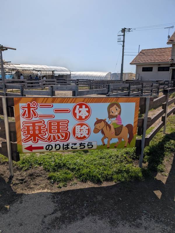 子連れいちご狩りは「いちごの里」が最強！食べ比べやカフェ、遊び場など1日満喫レポ | HugMug