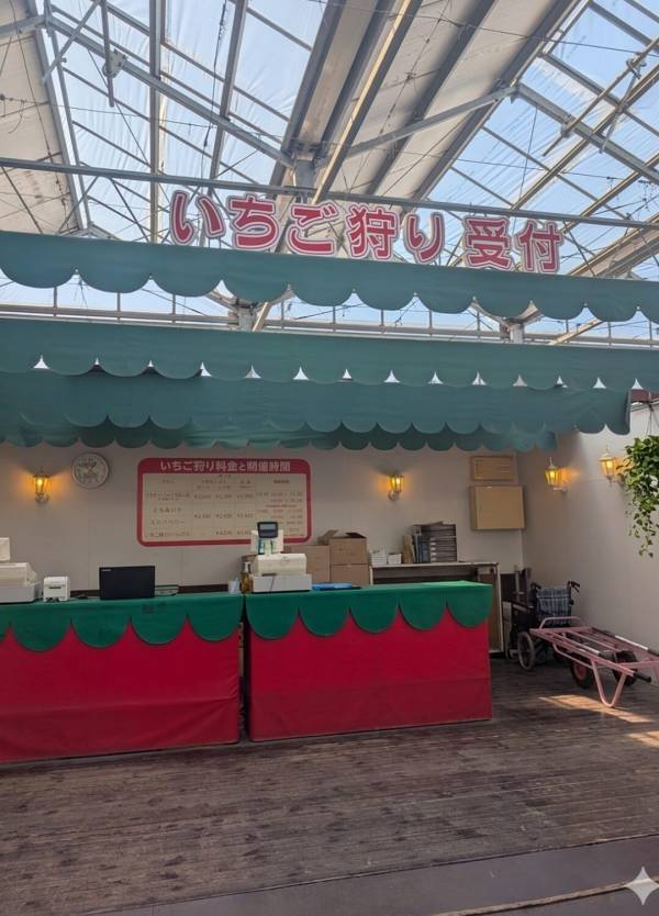 子連れいちご狩りは「いちごの里」が最強！食べ比べやカフェ、遊び場など1日満喫レポ | HugMug