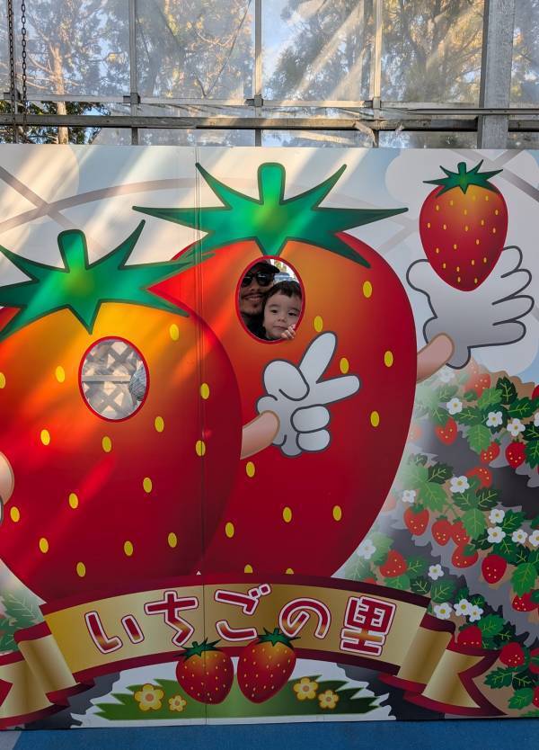 子連れいちご狩りは「いちごの里」が最強！食べ比べやカフェ、遊び場など1日満喫レポ | HugMug