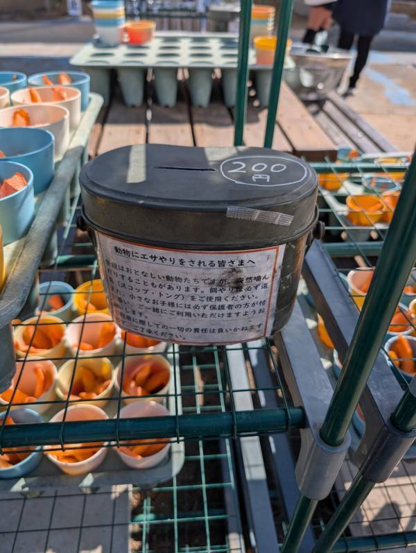 子連れいちご狩りは「いちごの里」が最強！食べ比べやカフェ、遊び場など1日満喫レポ | HugMug