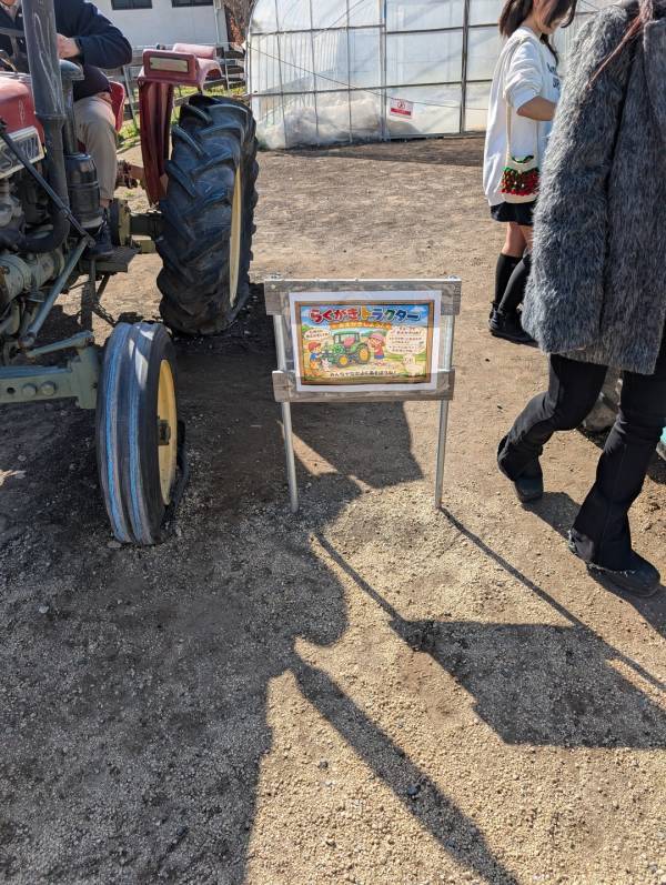 子連れいちご狩りは「いちごの里」が最強！食べ比べやカフェ、遊び場など1日満喫レポ | HugMug