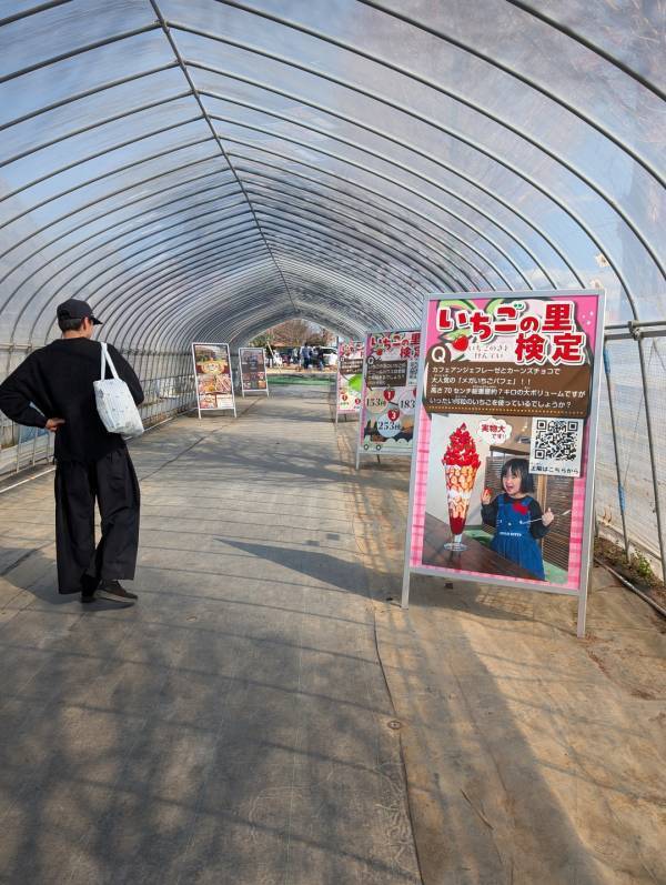子連れいちご狩りは「いちごの里」が最強！食べ比べやカフェ、遊び場など1日満喫レポ | HugMug