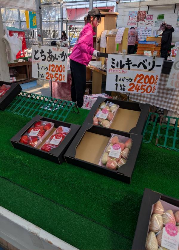 子連れいちご狩りは「いちごの里」が最強！食べ比べやカフェ、遊び場など1日満喫レポ | HugMug