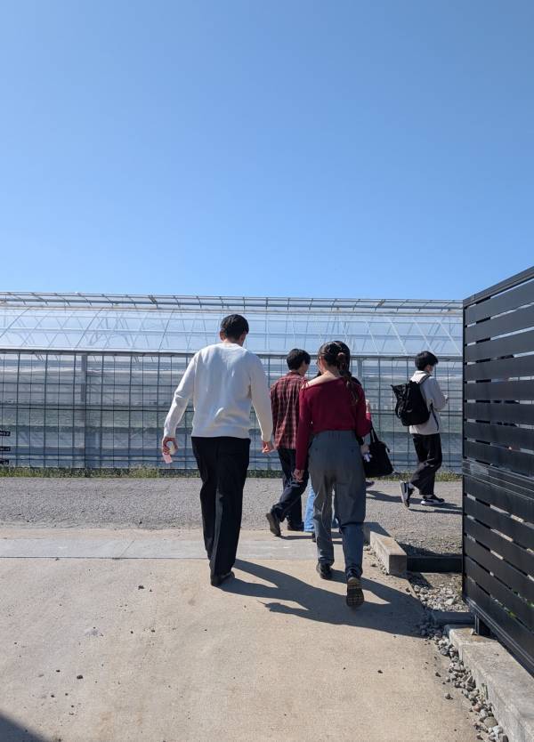 子連れいちご狩りは「いちごの里」が最強！食べ比べやカフェ、遊び場など1日満喫レポ | HugMug