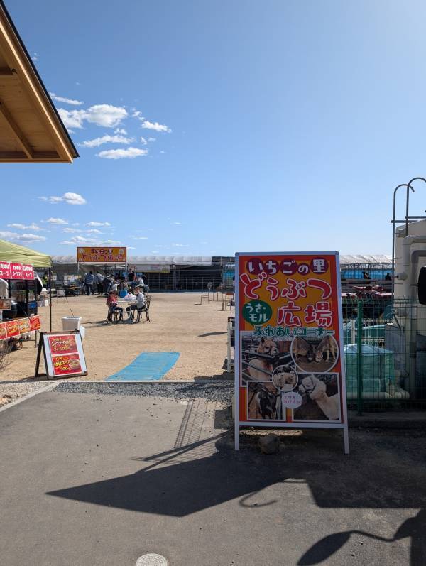 子連れいちご狩りは「いちごの里」が最強！食べ比べやカフェ、遊び場など1日満喫レポ | HugMug