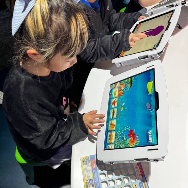 5月11日まで！水族館【SEA LIFE】があつまれ どうぶつの森とコラボ中 | HugMug