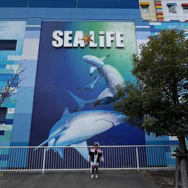 5月11日まで！水族館【SEA LIFE】があつまれ どうぶつの森とコラボ中 | HugMug