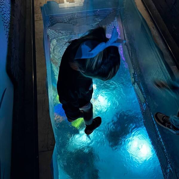 5月11日まで！水族館【SEA LIFE】があつまれ どうぶつの森とコラボ中 | HugMug