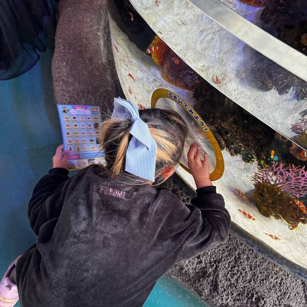 5月11日まで！水族館【SEA LIFE】があつまれ どうぶつの森とコラボ中 | HugMug