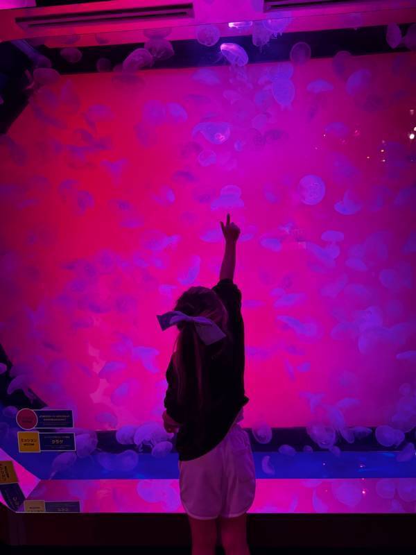 5月11日まで！水族館【SEA LIFE】があつまれ どうぶつの森とコラボ中 | HugMug