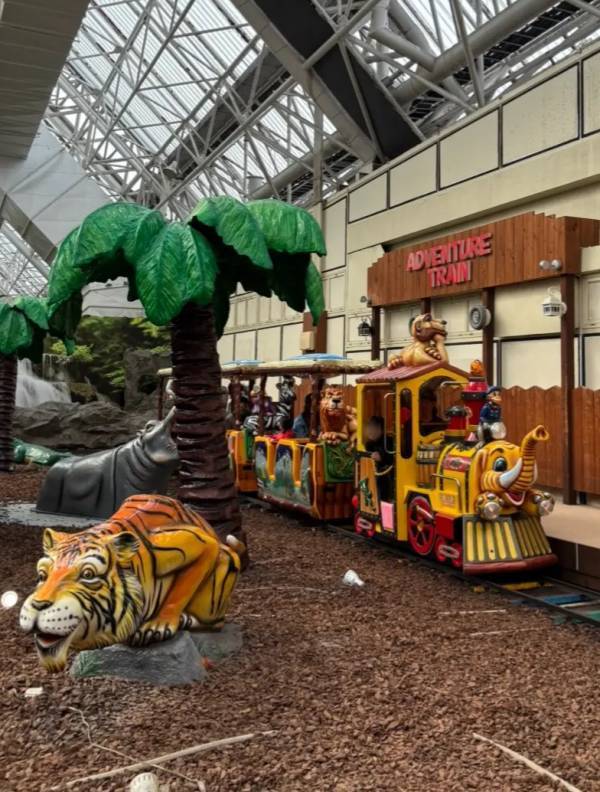 4人でまさかの2,000円！？ 「東京サマーランド」感謝デーがコスパ最強！ プール＆遊園地を大満喫！ | HugMug