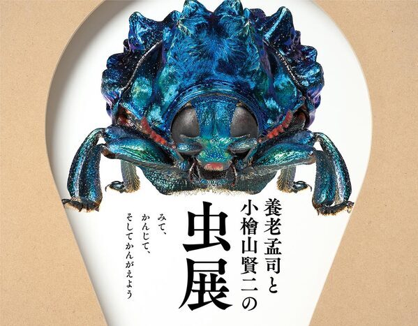 5月に行きたい遊び場＆イベント16選【関東】 | HugMug