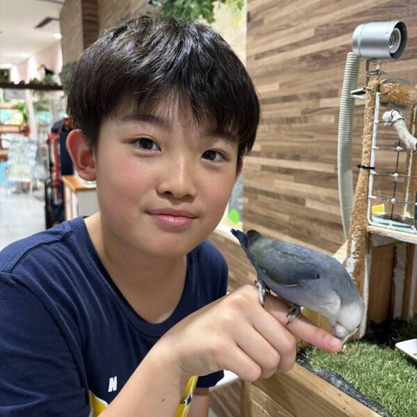 ワオキツネザルと触れ合える！？【アニタッチお台場】でいろんな動物と触れ合おう！ 餌やり体験も | HugMug