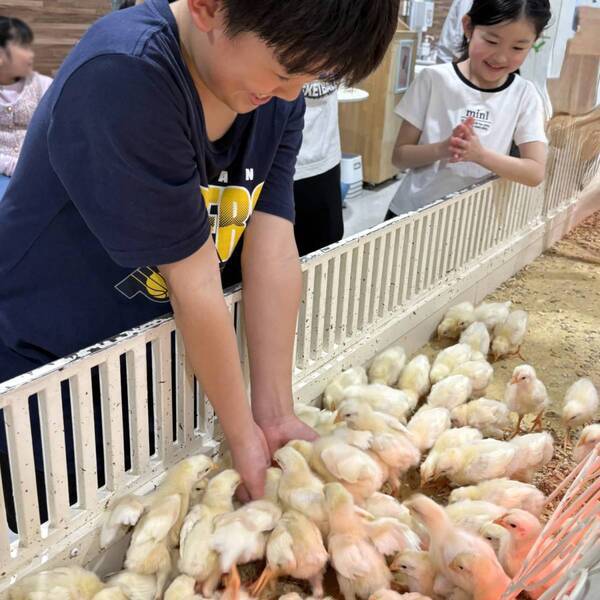 ワオキツネザルと触れ合える！？【アニタッチお台場】でいろんな動物と触れ合おう！ 餌やり体験も | HugMug
